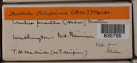 Image Associated With the Occurence